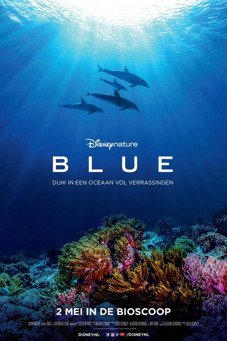 Dolphin Reef