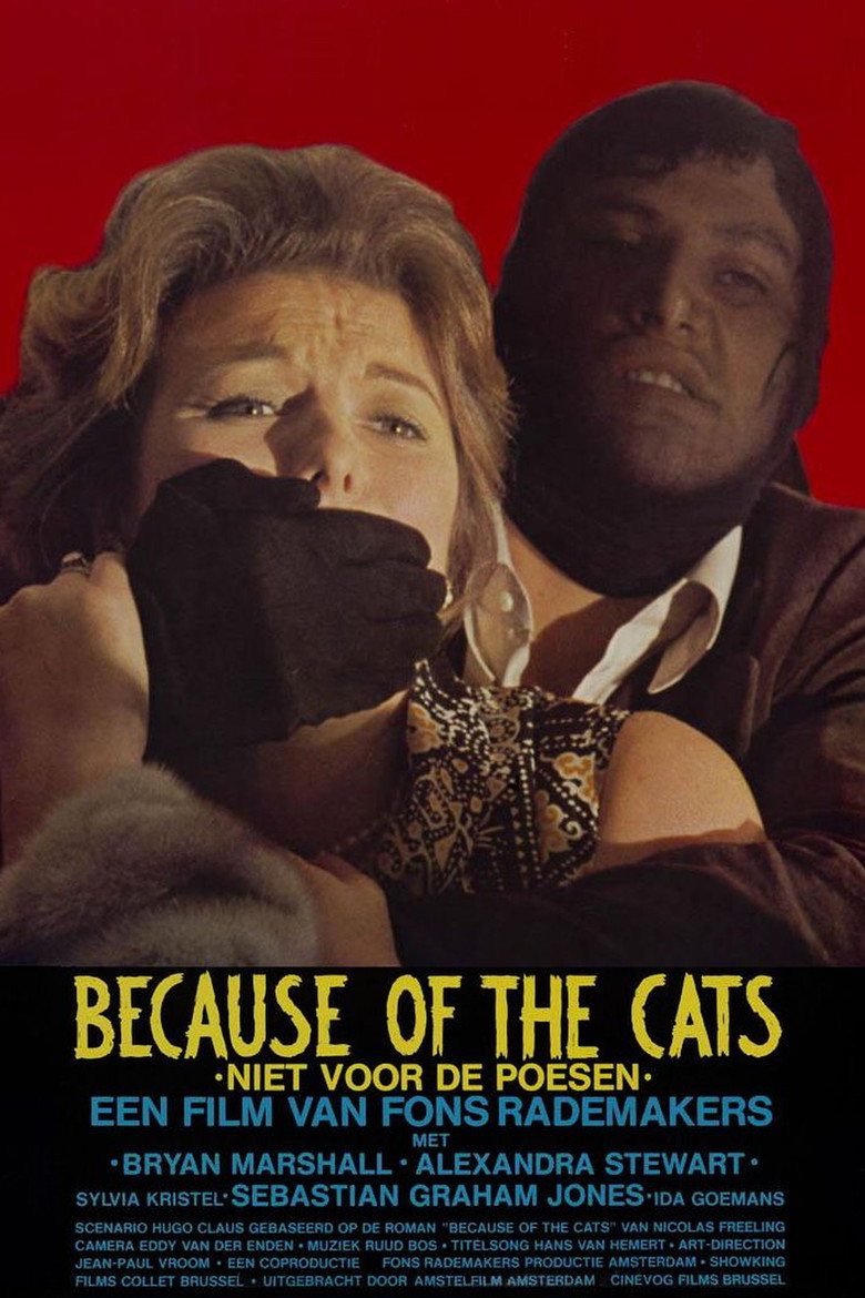 Because of the Cats