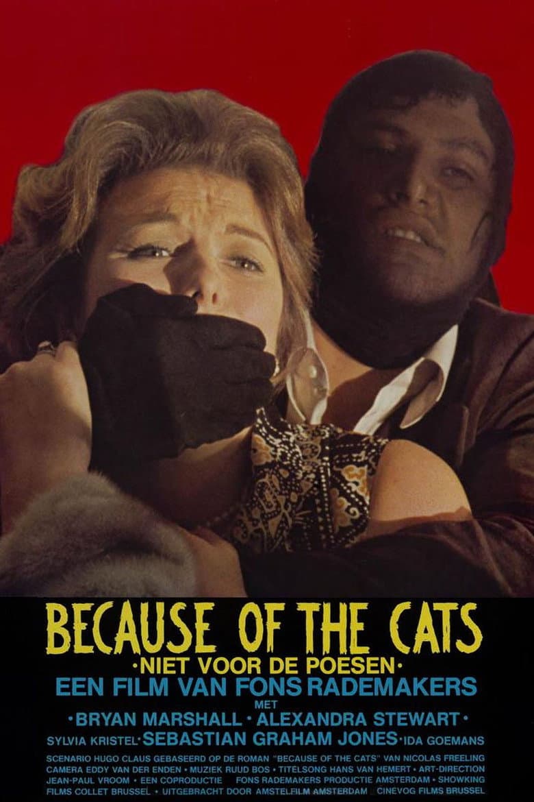 Because of the Cats
